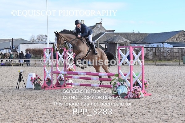 BPP_3283 - CLASS 2  Club/ Unaffiliated 80cms Open