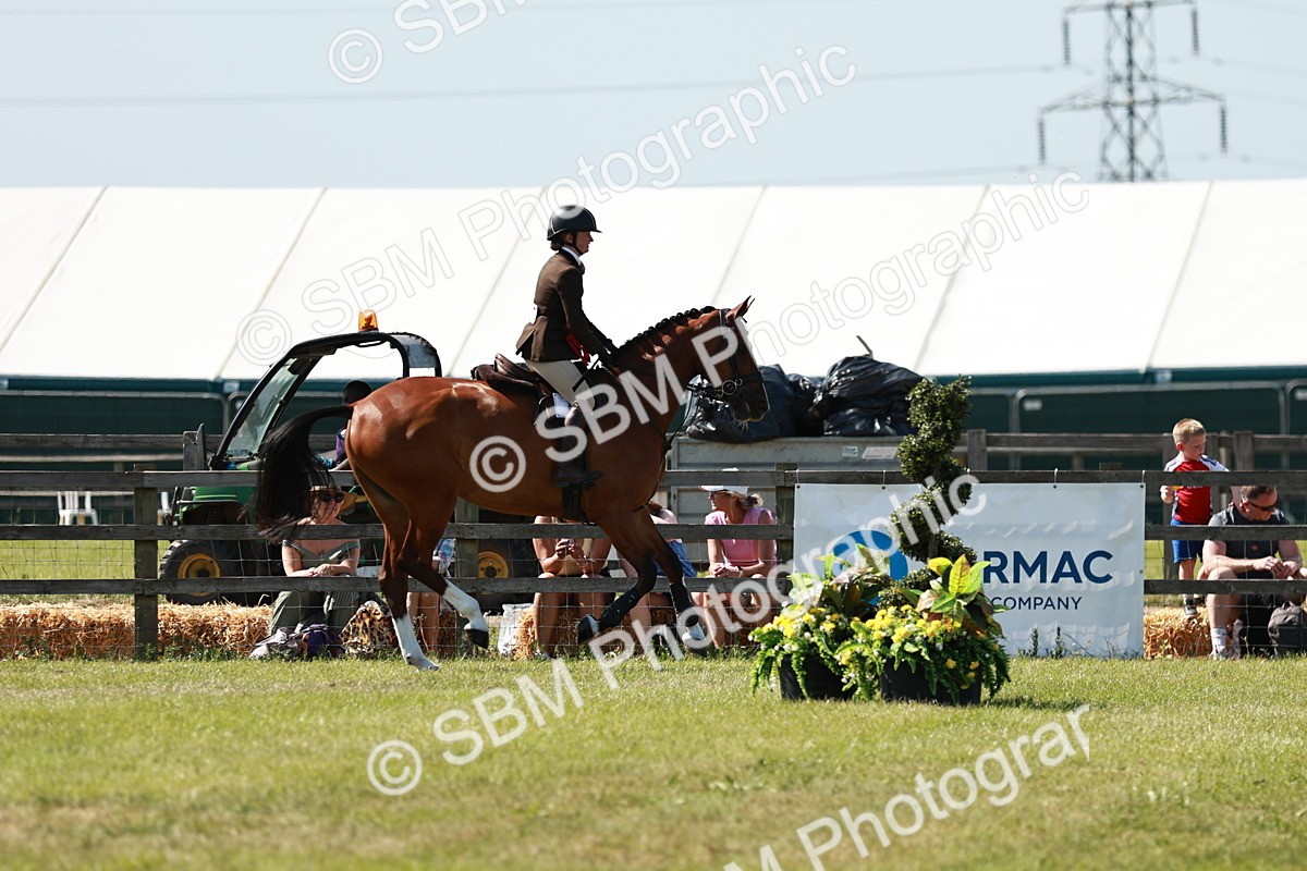 SBM_18517 - Class 112-113 - BSPS LIHS Working Sports Pony