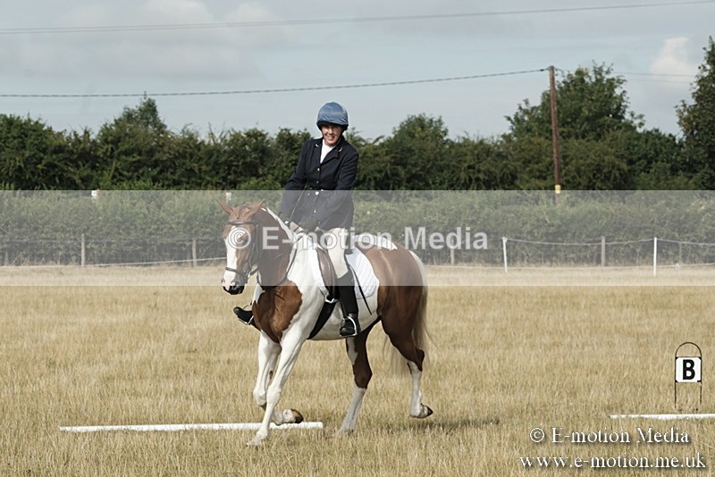 _PJP5588 - Dressage Classes BVRC Show 2018