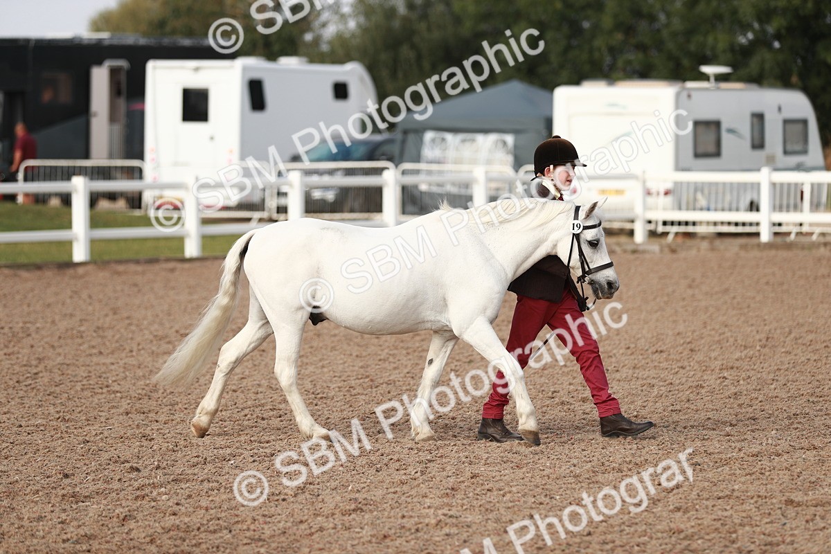 SBM_10491 - Class 204 Young Handler, 11-16 years