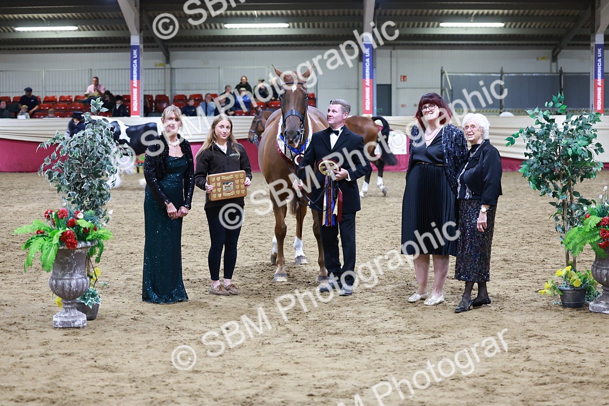 SBM_20516 - Class G - IH Large (over 148cm)Champ