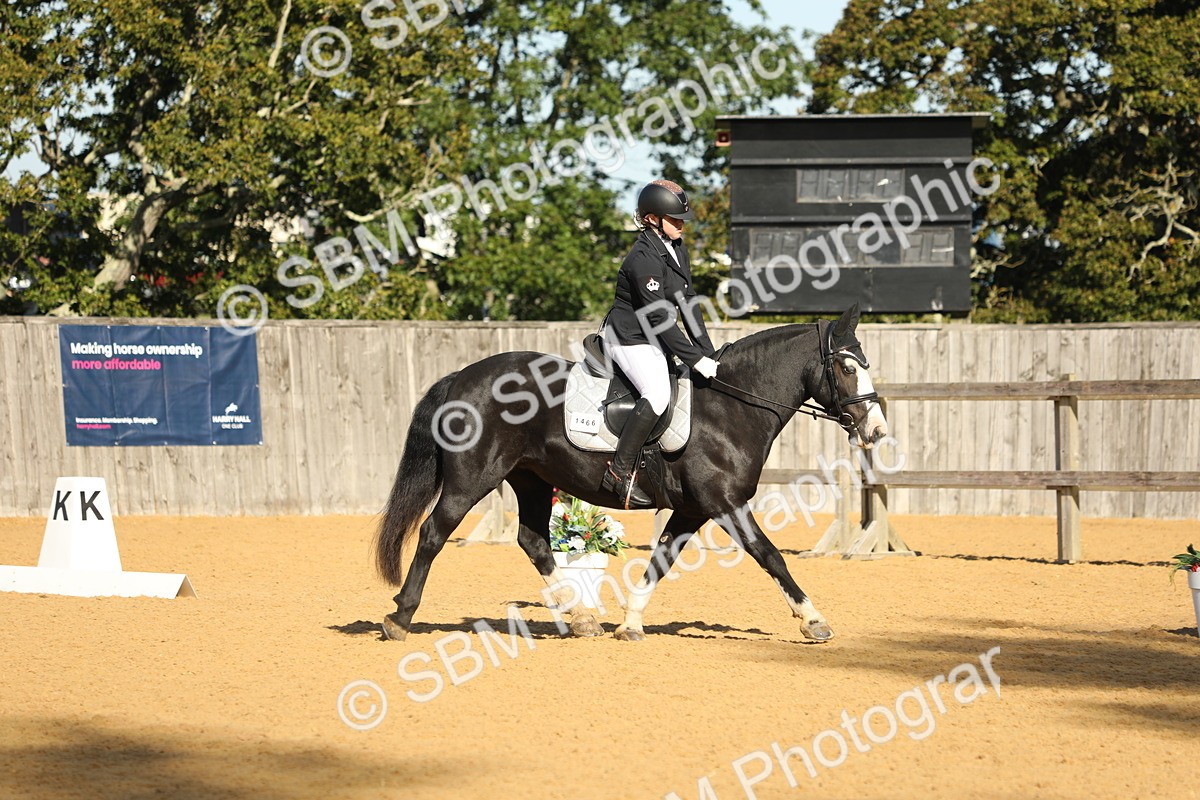 SBM_37915 - D21 - Junior Championship - Intro A