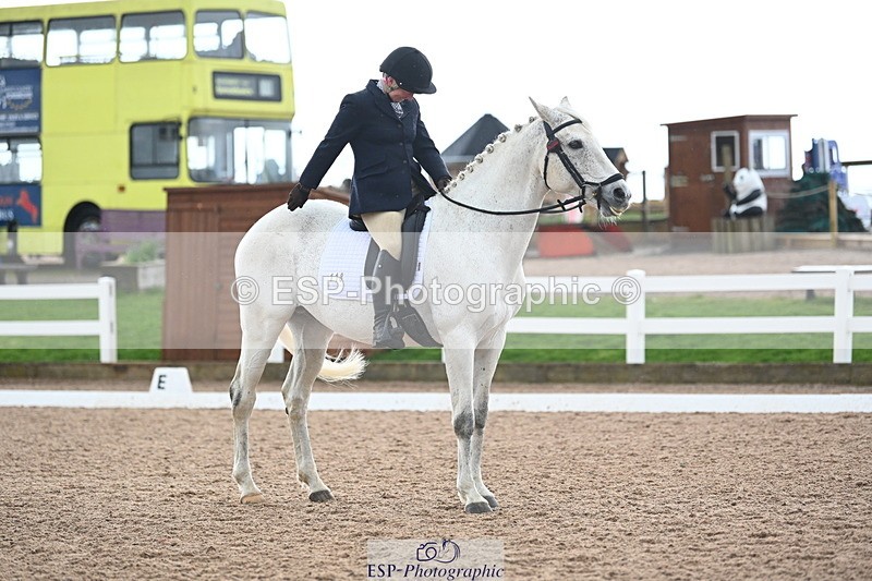 240323A-123117-01808 - DR Elementary 42