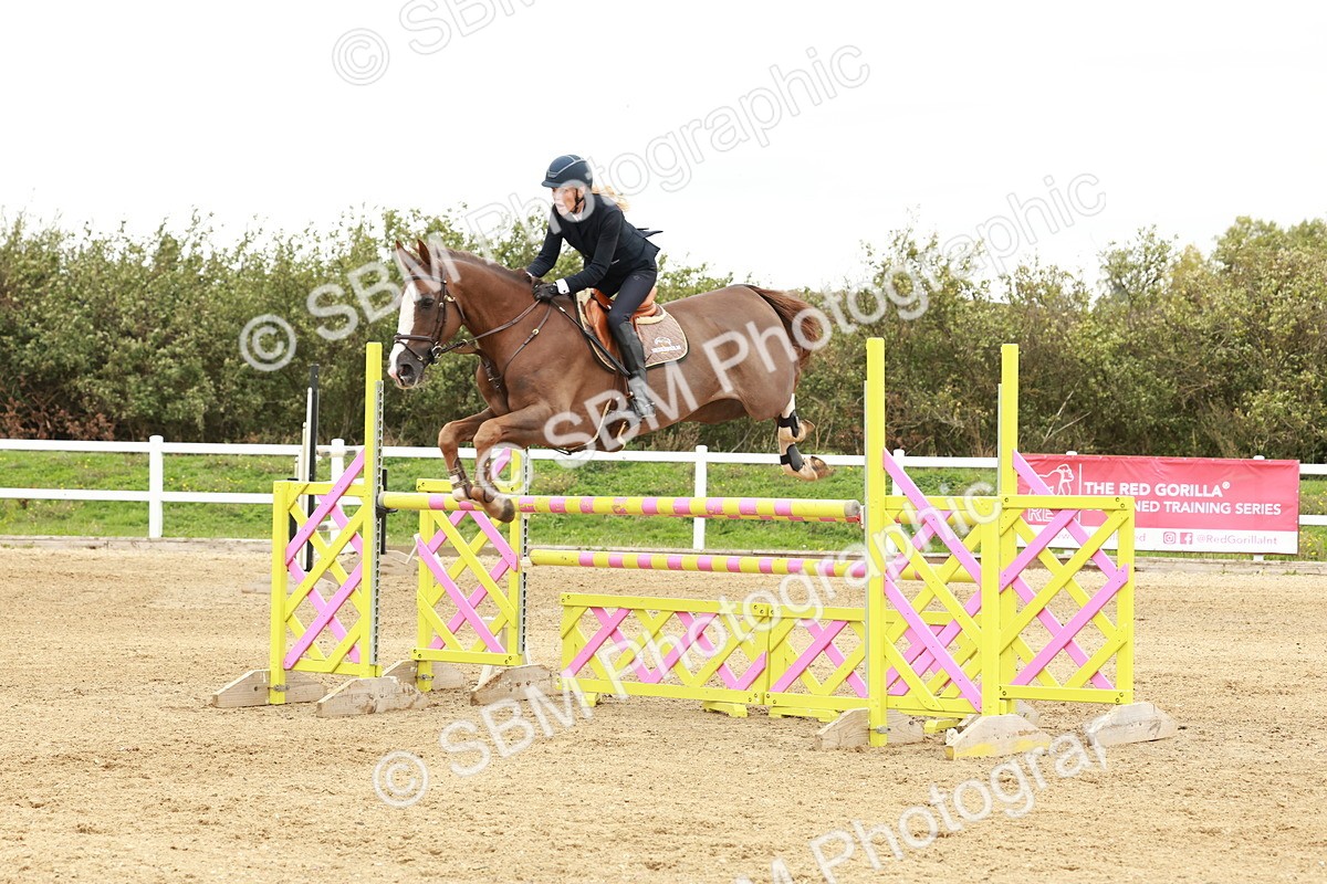 1I0A8047 - Class 5 - Senior Foxhunter 1.20m