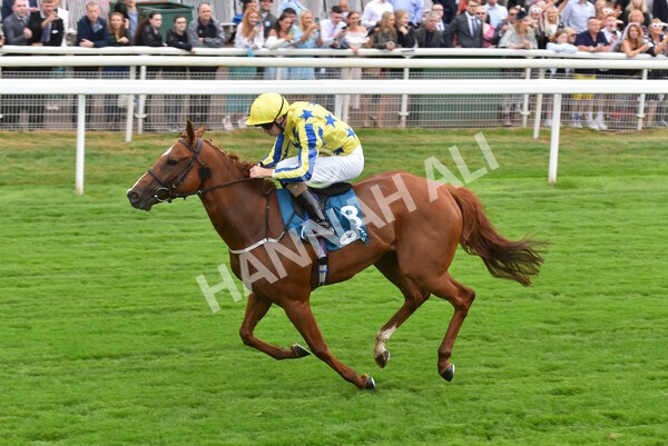 yr22072022r3-64 - Race 3 6.20pm Tomahawk Stakes