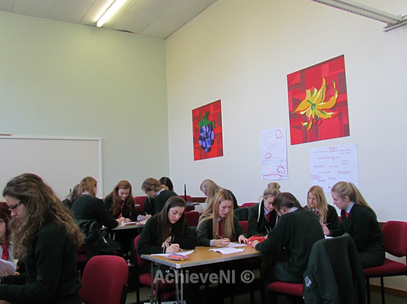  - Peer Mentoring 2014