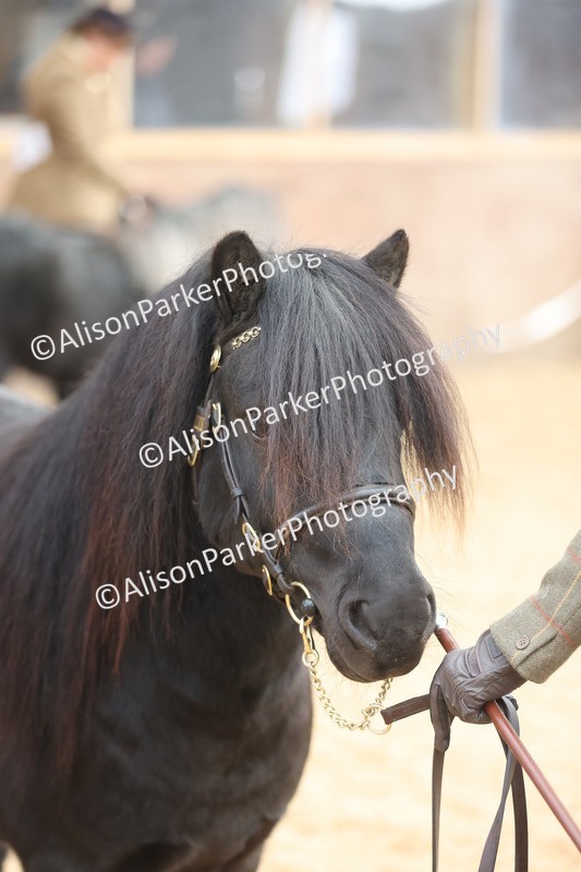 20251109-0041 - Class 3 - 2 and 3 Year Old