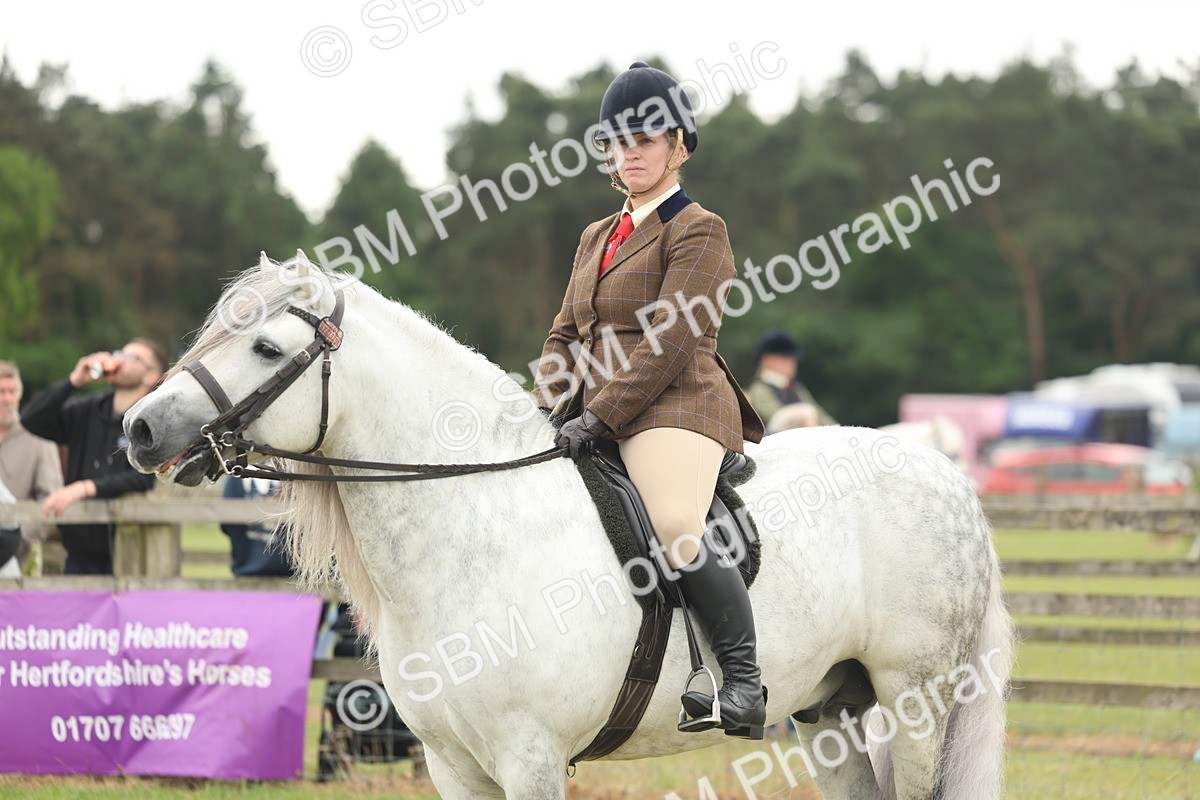 SBM_08993 - Class 78-80 - Ridden M&M Non Welsh Ponies