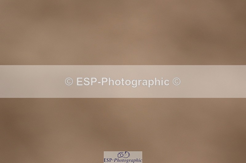 240323A-130044-02993 - DR Novice 34