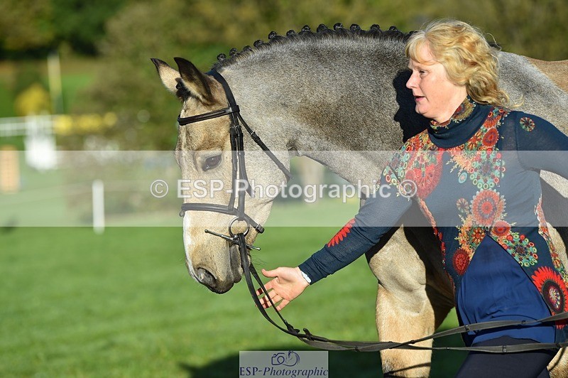 231022-093538-21902 - 471-LISCARROW.SHILOH-Justine.Walker-TrotUp+SJ