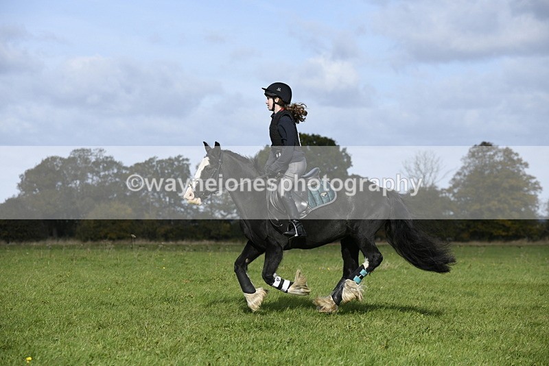 _DSC6426 - Time 11:23 to 12:05