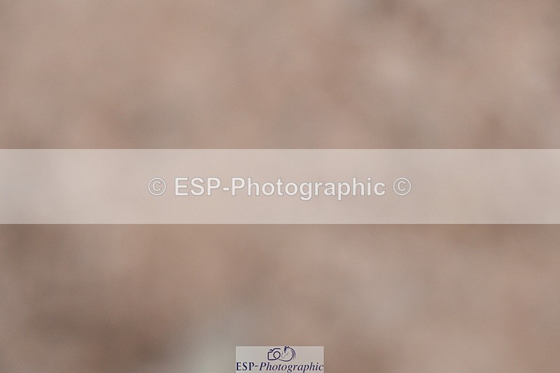 240107A-091833-00071 - Quest DR Tests