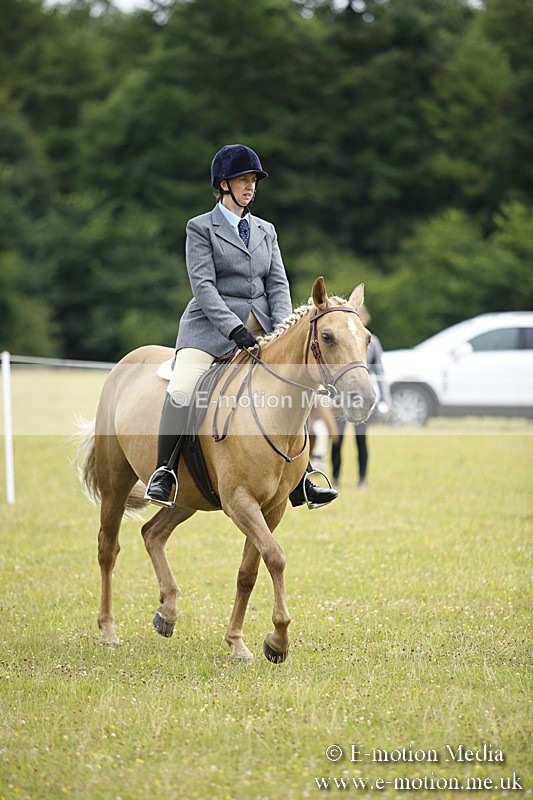BVR160717-287 - Ring 1 BVRC Show 16/07/17