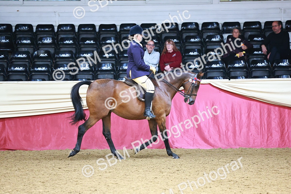 SBM_23750 - Class 905 - Supreme Final - Ridden Veteran
