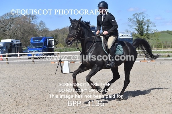 BPP_3136 - CLASS 14  Senior Newcomers/ 1.10m Open