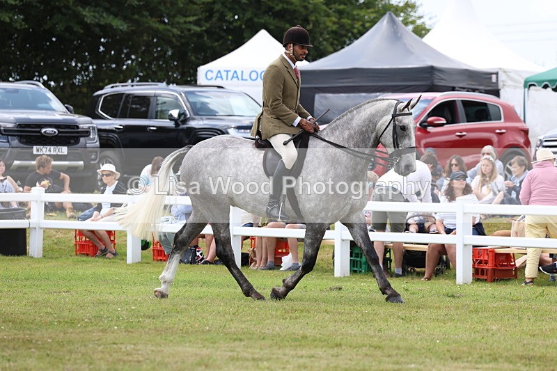 3E7A1890 - Class 10: Open Cob