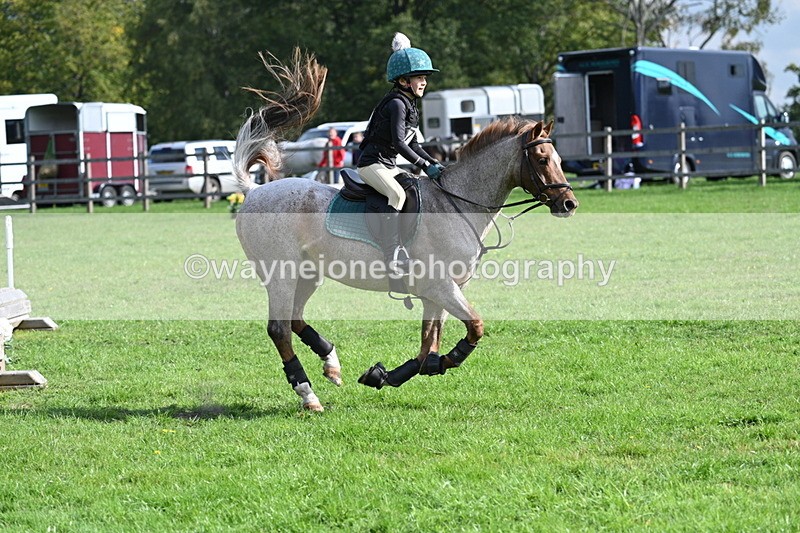 WJ7_4968 - 60cm Time 11:11 to 11:19