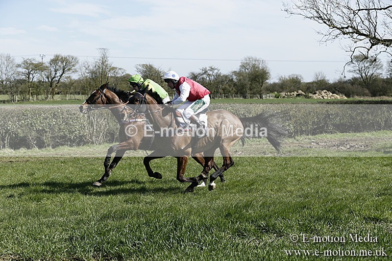 PtP 250317 37 - V.W.H. Hunt Point-to-Point Siddington 25/03/17