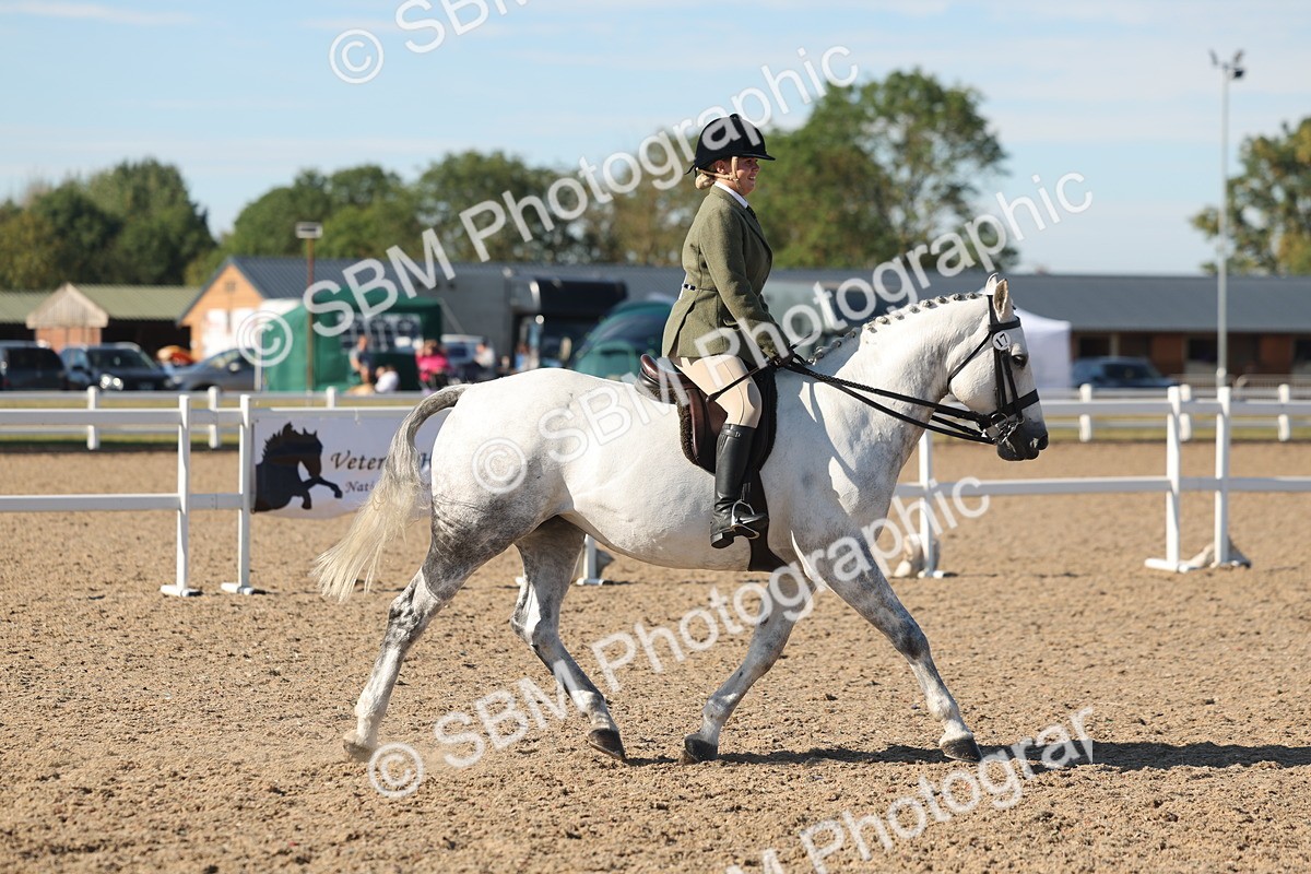 SBM_12324 - Class 304 - Ridden part Bred Horse Pony