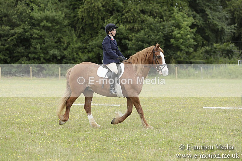 BVR160717-1225 - Class 2 Dressage 16/07/17