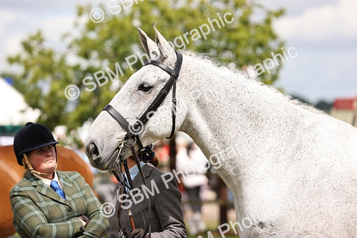 SBM_14721 - Class 88-89 - LIHS BSHA Rising Star of Ridden Hunter Type