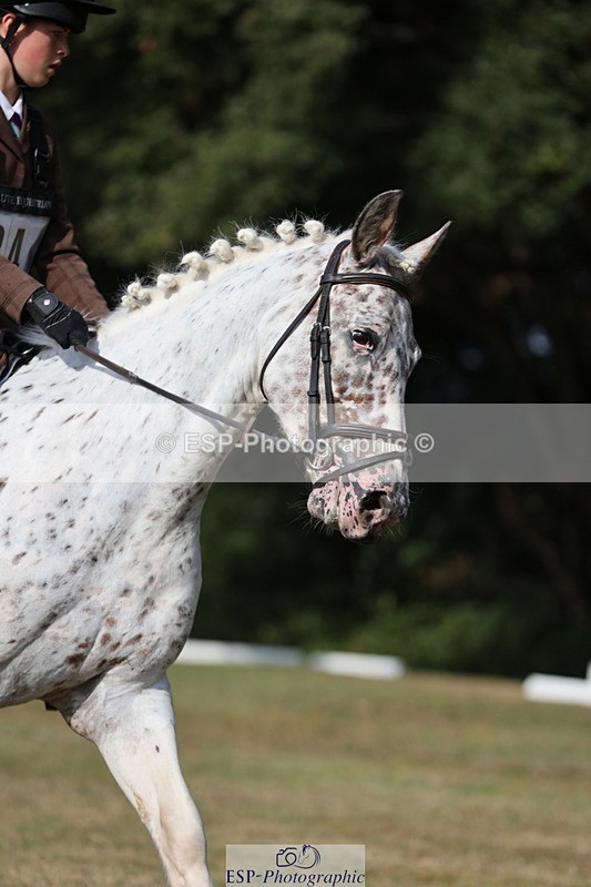 250823A-162235-33414 - PC80 Ride Off