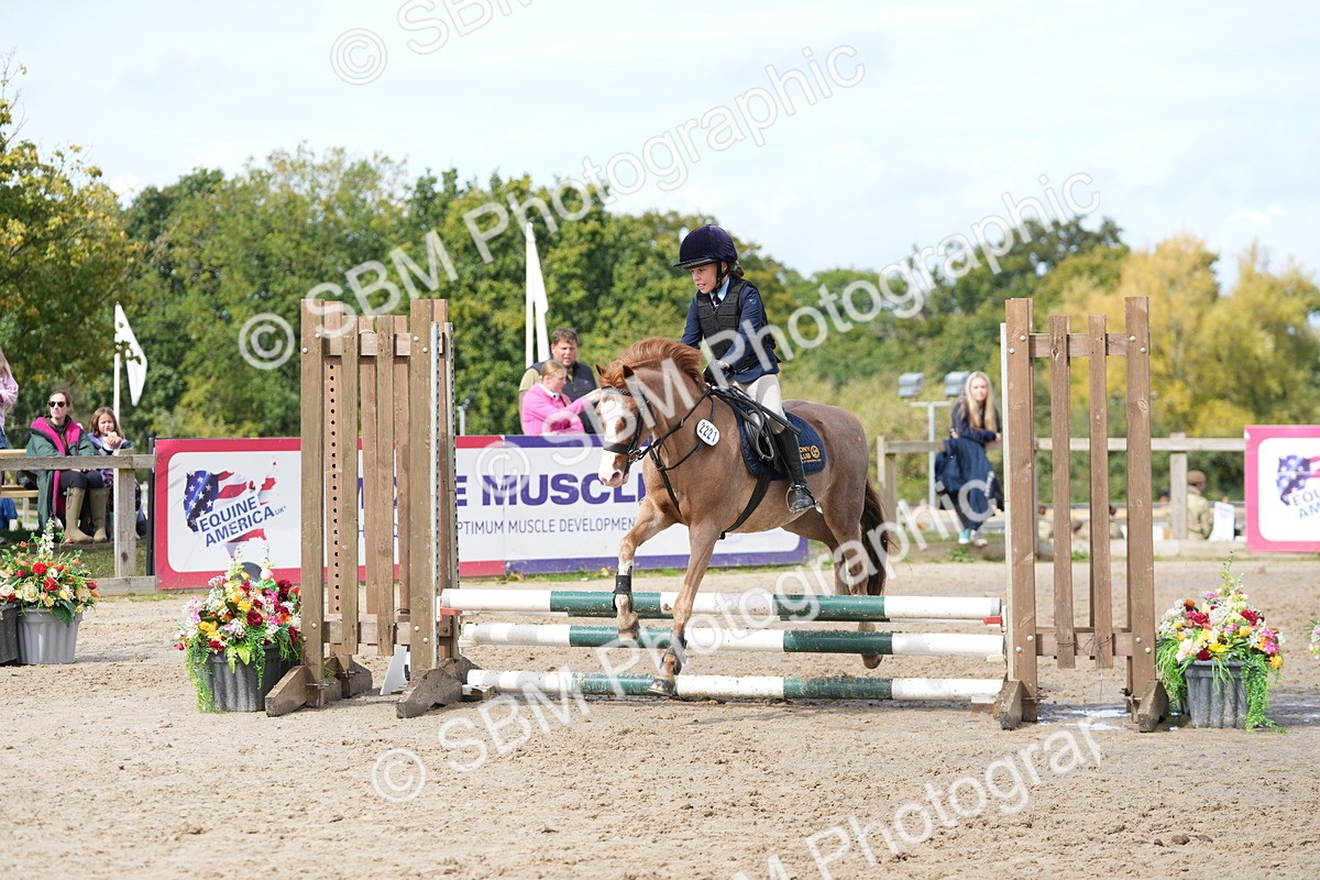 SBM_40746 - Supreme Championship Pony 50-55cm