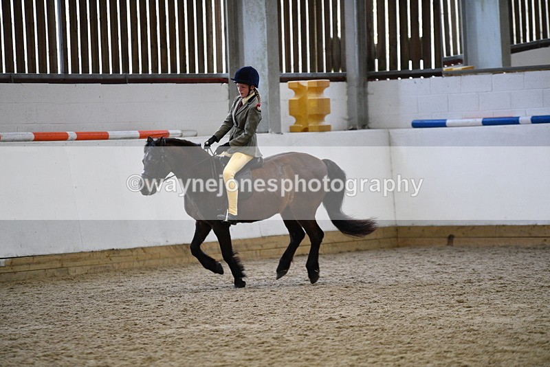 WJ5_6928 - Class 10 Childs Pony