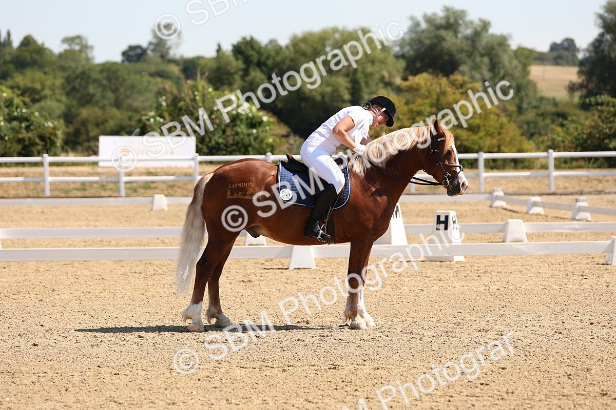SBM_001089 - Intro 2