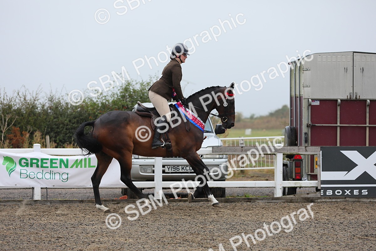 SBM_20101 - Class 802 - Ridden Groom - Helpers class