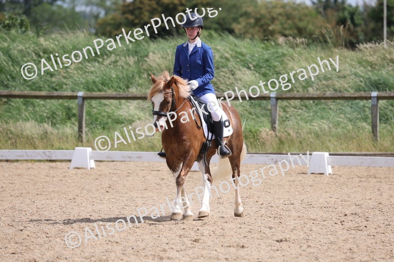 20250614-1319 - Class 6 - Elementary 1