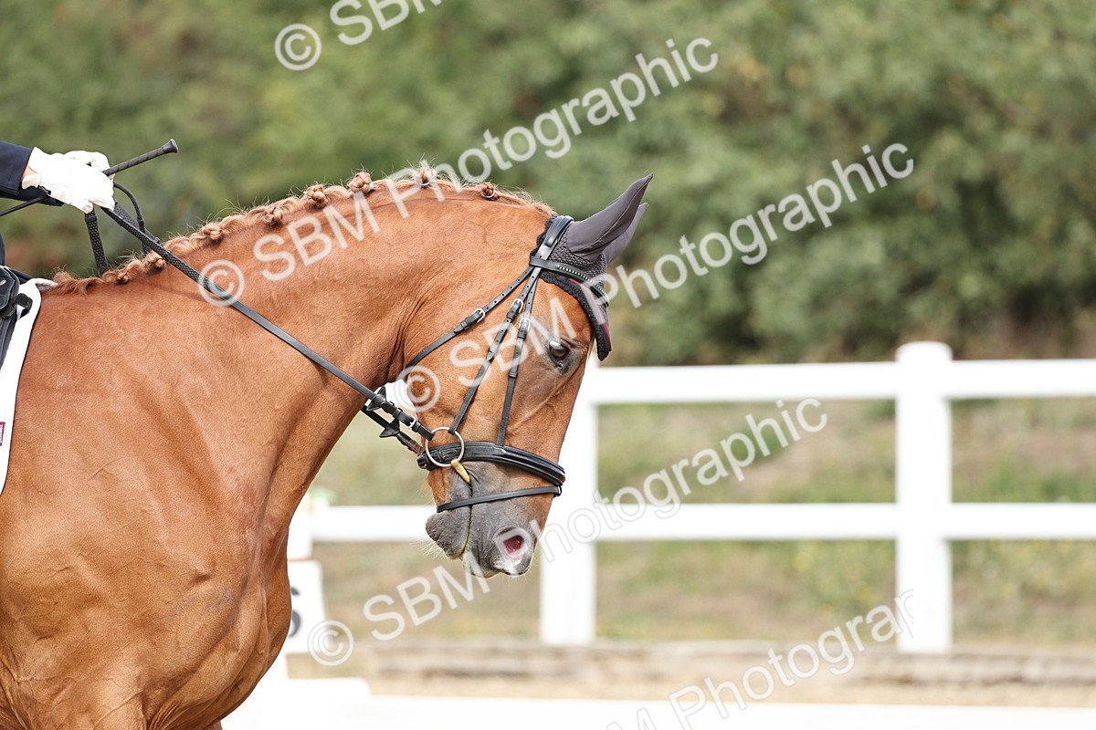 SBM_018348 - Class 16 - Novice 5 - 11.12-12.01