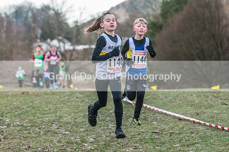 Cumbria XC-100 - Cumbria Cross Country Championships (Junior & Senior Races) Saturday 3rd January 2026