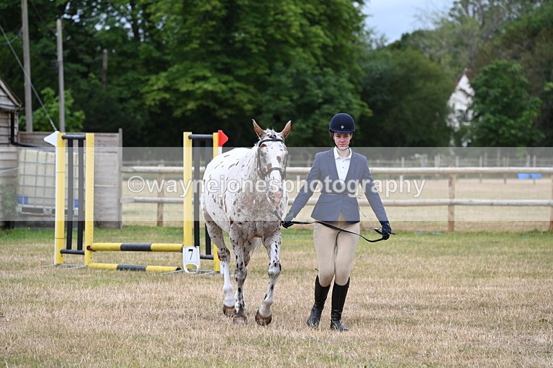 WJ6_4281 - Class 10 Coloured In-hand