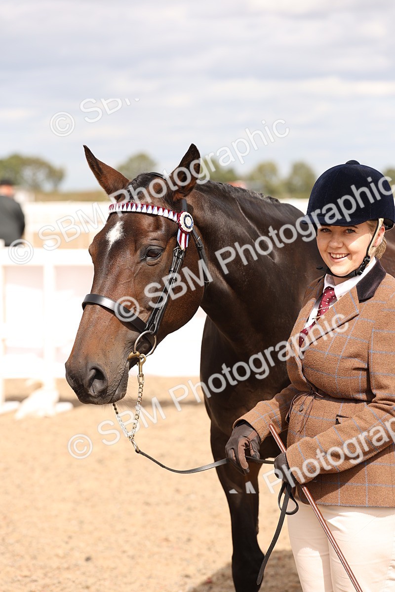 SBM_15395 - Class 210- IH Show Horse