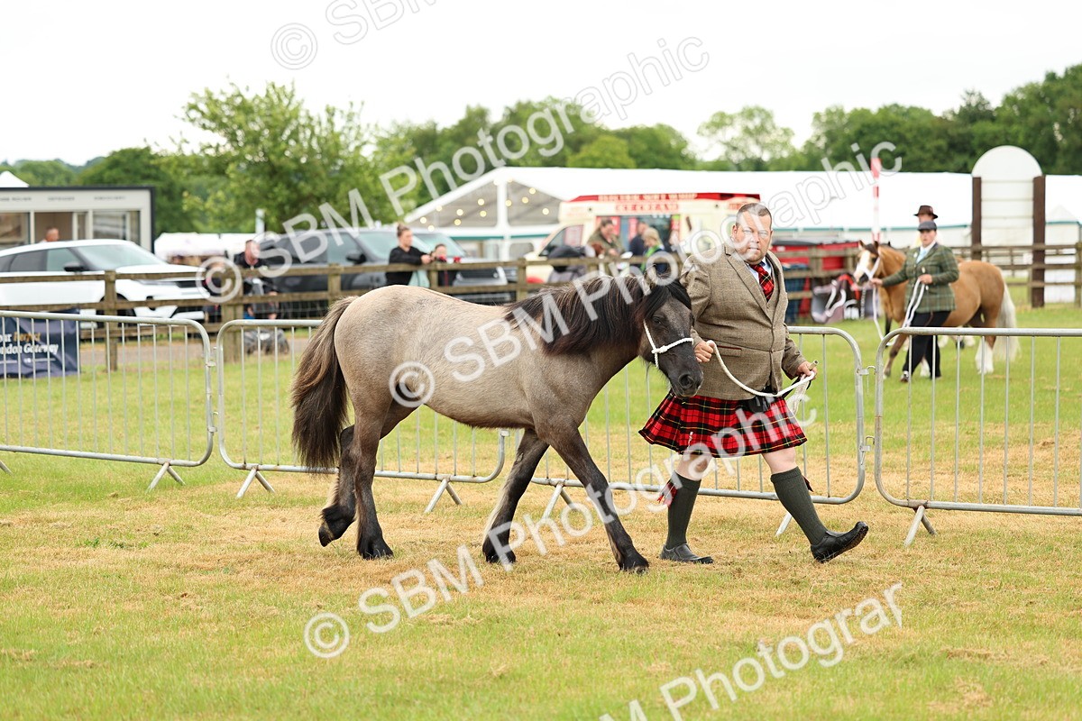 SBM_00376 - Class 58-67 - M&M Non Welsh Pony In hand