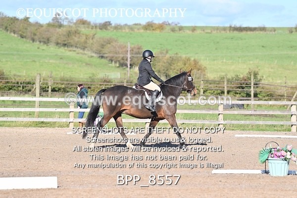 BPP_8557 - SHORT ARENA INTRO 3