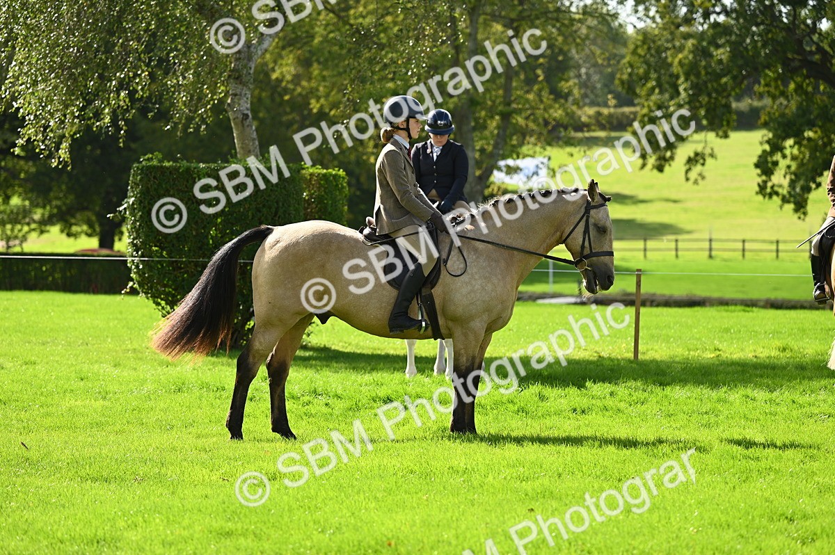 SBM_01859 - S2 - TSR Ridden Horse Showing