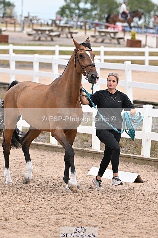 250716-143534-01232 - Trot Up 2.30 to 3.30