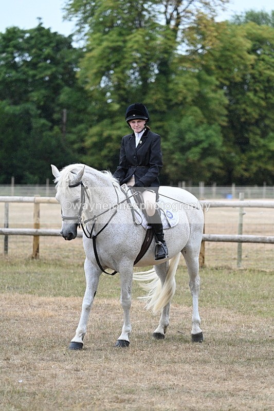 WJ7_0798 - Class 7 Riding Club Show Horse