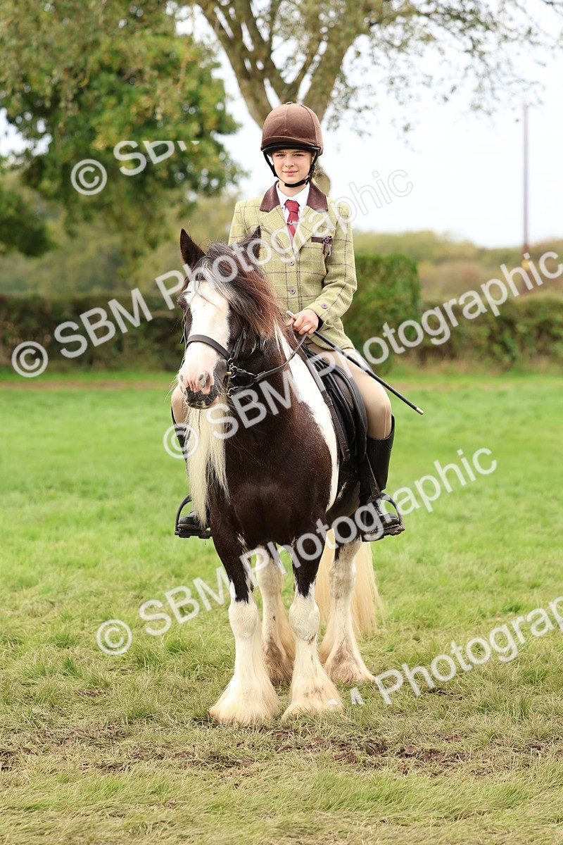 SBM_64461 - S58 - Coloured Pony Ridden