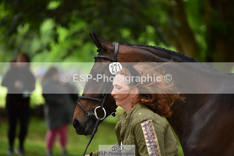 240522-170016-01319 - 271-WILD_ATLANTIC_WAY-Susie_Berry