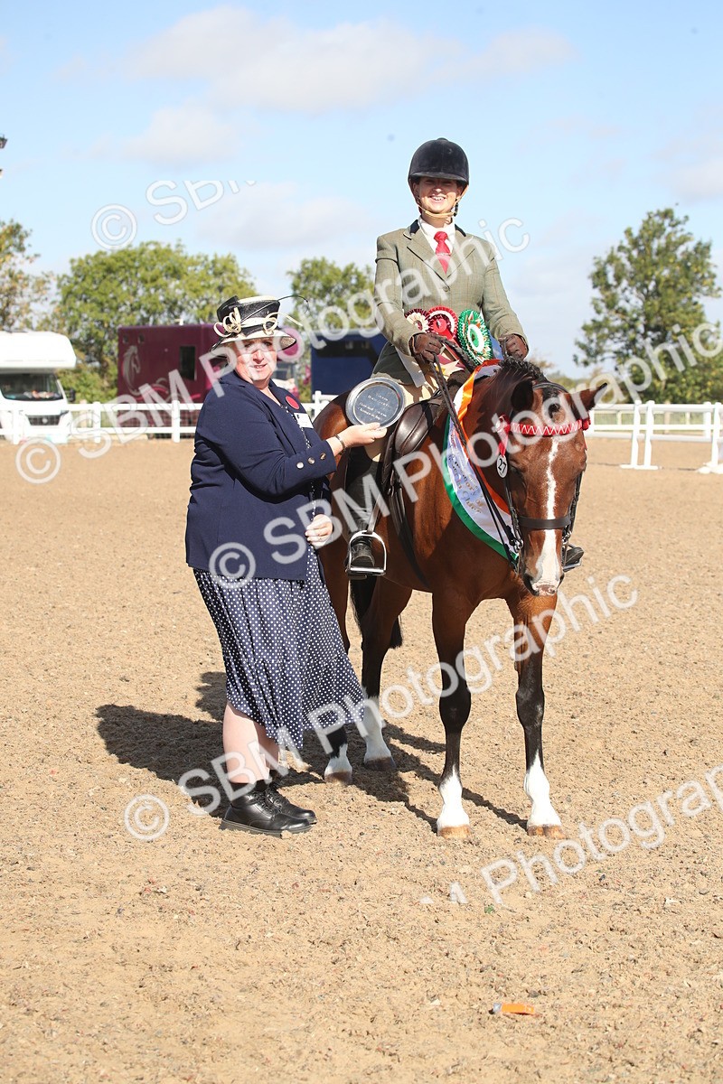 SBM_22737 - Class 601 - 2026 - Area - Ridden Diamond