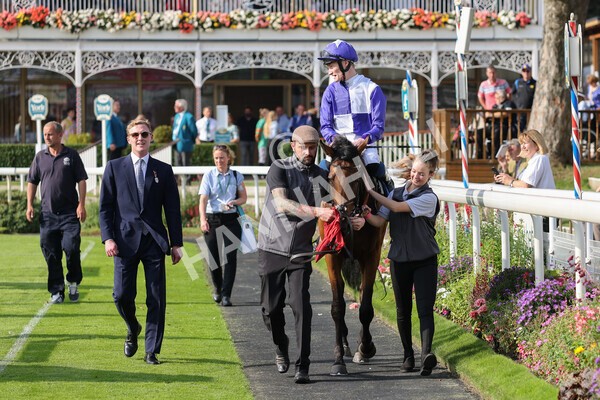 yr05092021r4-32 - Race 4 3.45pm Coopers Marquees British EBF Future Stayers' Novice Stakes