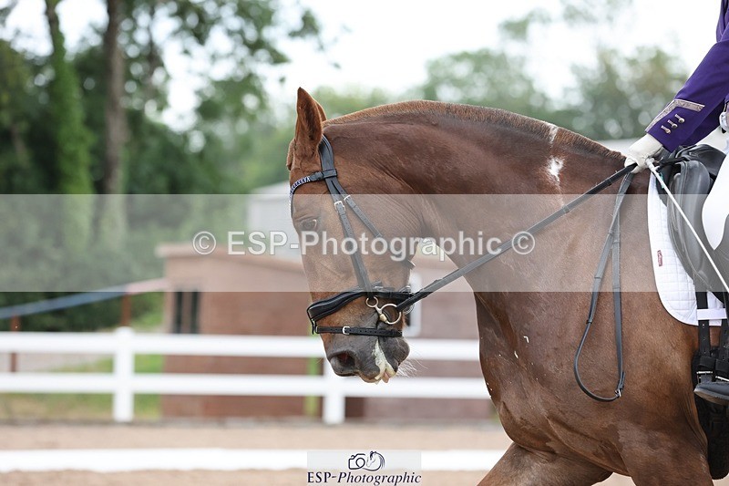 250620-085512-00113 - BD Cls 3 - Freestyle Preliminary