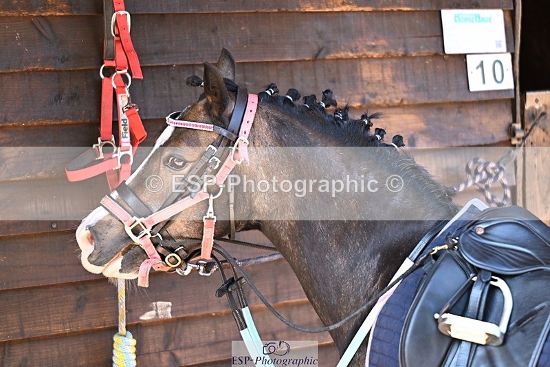 240729B-094805-01816 - Monday Stable Shots