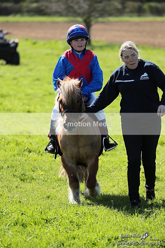 Shet 060426 343 - Shetland Pony Racing Paxford Races Easter Mon 06/04/26