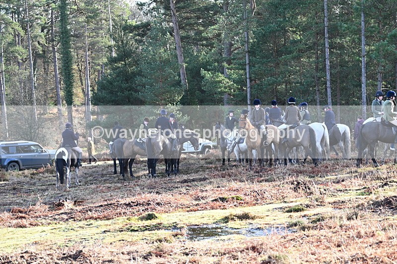 WJ7_7437 - Line 3 (no line 4 or 5)