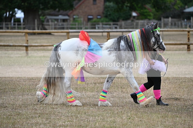 WJ6_8832 - Class 11 Fancy Dress