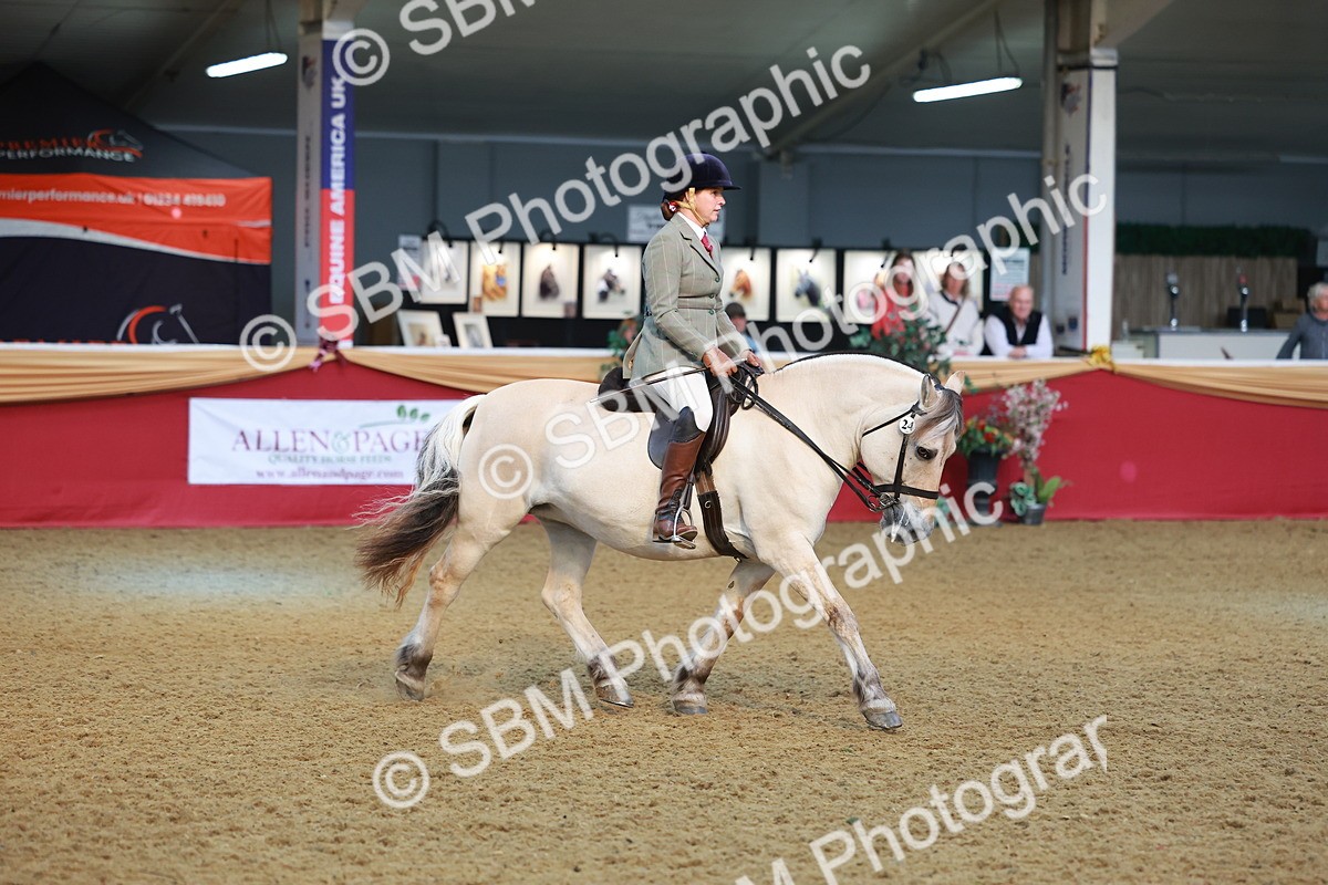 SBM_09517 - Class 102 - HOYS Veteran Qualifier - Ridden Veteran